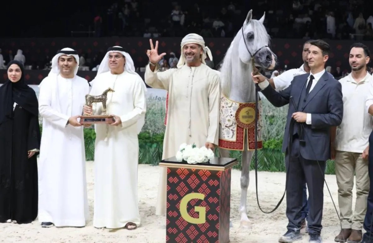 "دي سراج" من مربط دبي يتصدر بطولة أبوظبي الدولية للجمال بأداء استثنائي