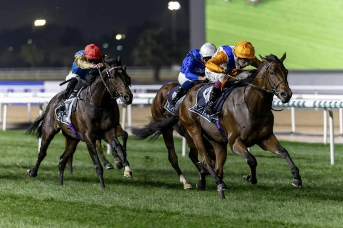 إعمار ترعى "جودلفين مايل".. وأرقام قياسية لكرنفال سباقات دبي الدولي