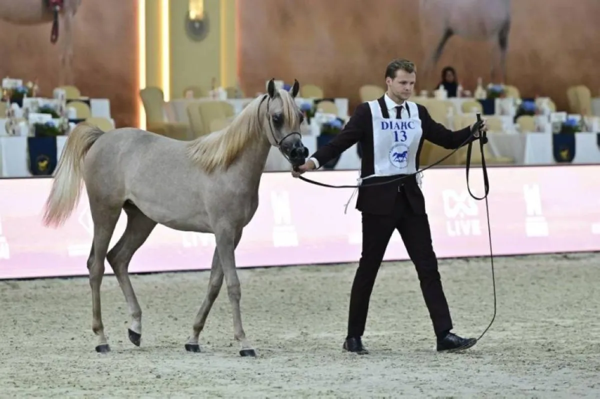 المرابط الإماراتية تتصدر بطولة دبي الدولية للجواد العربي