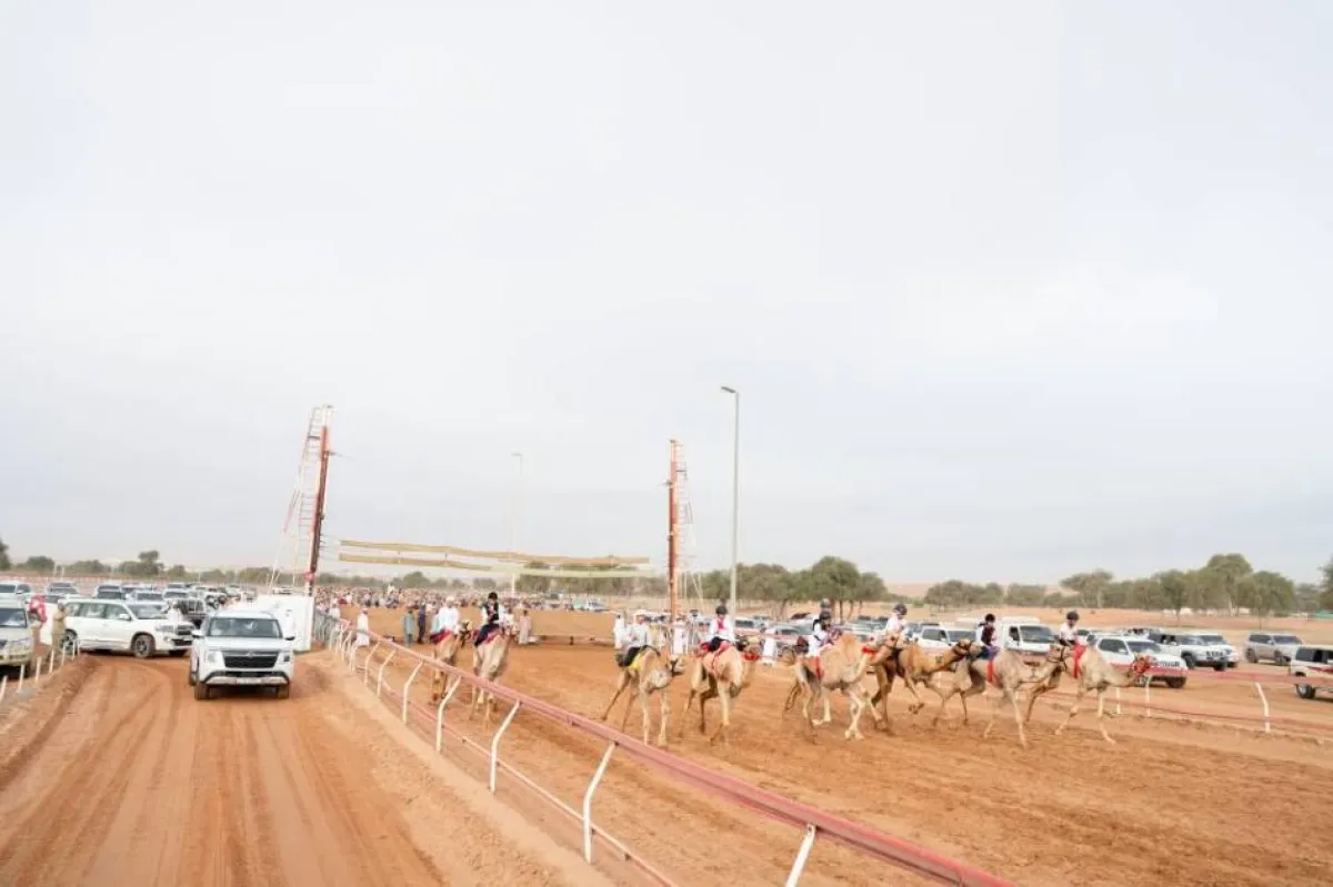 محمد بن سعود يشهد منافسات "شارة الفطامين" للهجن في رأس الخيمة