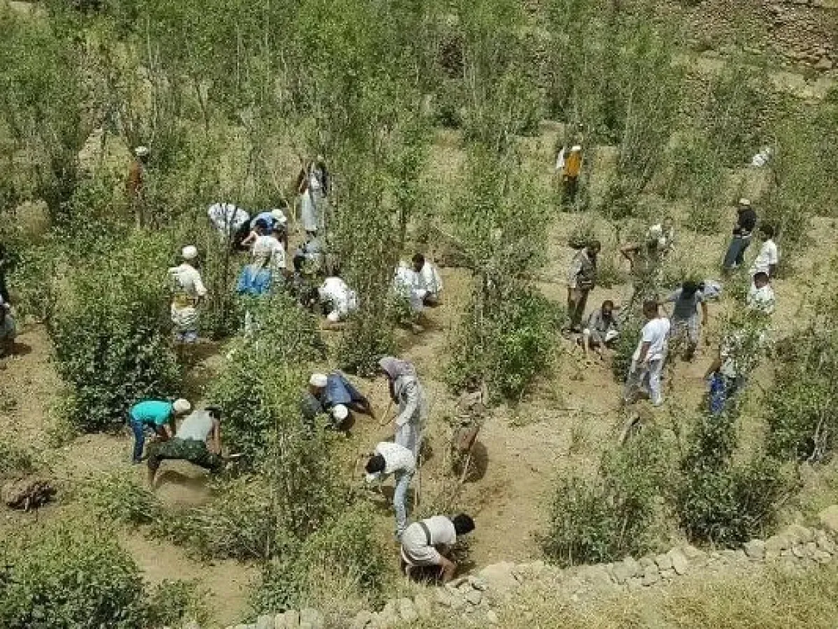 تعذيب وحشي يودي بحياة اشخاص في صنعاء